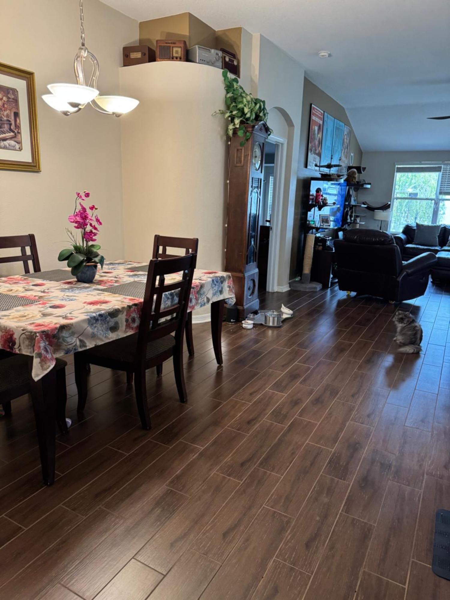 Ruskin Fl Private 2 Bdrm 1 Bath Suite Common Areas Shared With Host And Cat المظهر الخارجي الصورة